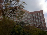 ����� ��� - ����������� �� RCC-TRAVEL.RU